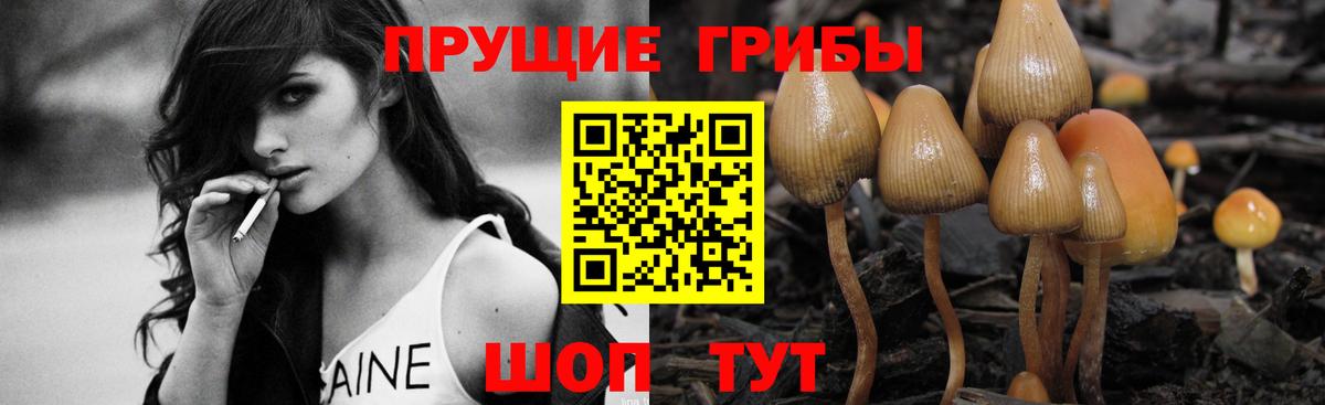 Галлюциногенные грибы MAGIC MUSHROOMS Бутурлиновка